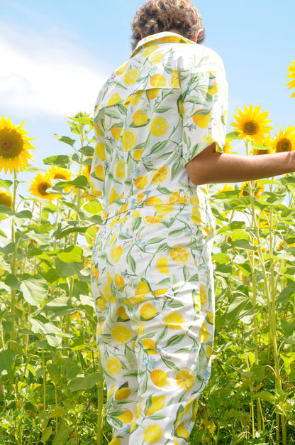 Die Lemoen Pakkie - long version 🍋