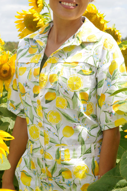 Die Lemoen Pakkie - long version 🍋