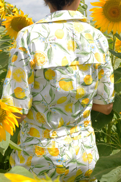 Die Lemoen Pakkie - long version 🍋